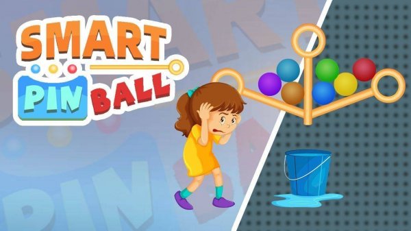 Smart Pin Ball Puzzle Game